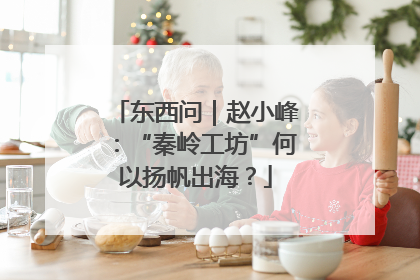 东西问｜赵小峰：“秦岭工坊”何以扬帆出海？
