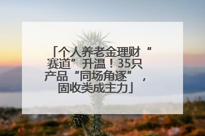 个人养老金理财“赛道”升温！35只产品“同场角逐”，固收类成主力