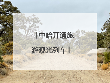 中哈开通旅游观光列车