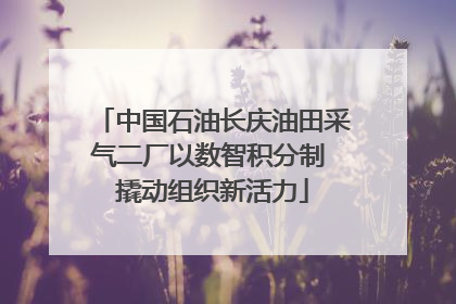 中国石油长庆油田采气二厂以数智积分制 撬动组织新活力