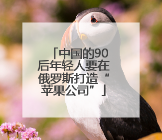中国的90后年轻人要在俄罗斯打造“苹果公司”