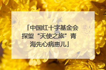 中国红十字基金会探望“天使之旅”青海先心病患儿