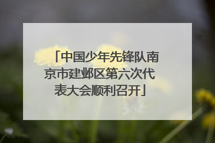 中国少年先锋队南京市建邺区第六次代表大会顺利召开