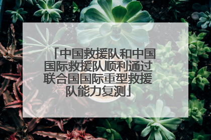 中国救援队和中国国际救援队顺利通过联合国国际重型救援队能力复测