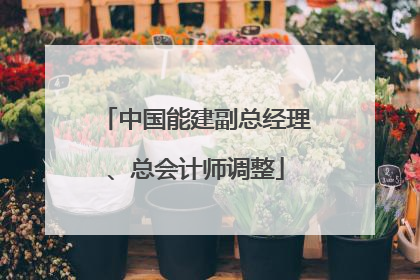 中国能建副总经理、总会计师调整