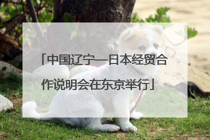 中国辽宁—日本经贸合作说明会在东京举行