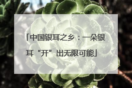 中国银耳之乡：一朵银耳“开”出无限可能