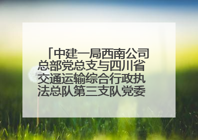 中建一局西南公司总部党总支与四川省交通运输综合行政执法总队第三支队党委、万源市草坝镇莲花院村党支部开展党建联建