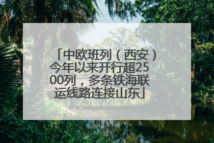 中欧班列（西安）今年以来开行超2500列，多条铁海联运线路连接山东