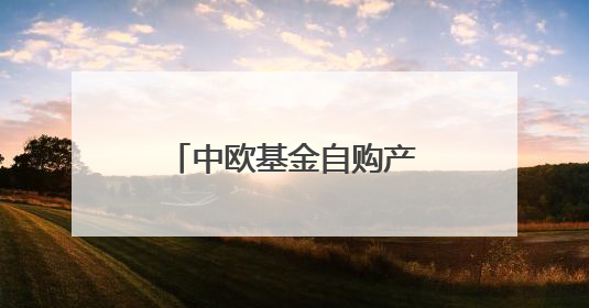 中欧基金自购产品锁定三年！明星战略折戟下信心背书能否打动市场