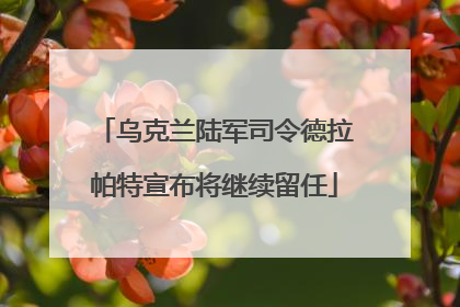 乌克兰陆军司令德拉帕特宣布将继续留任