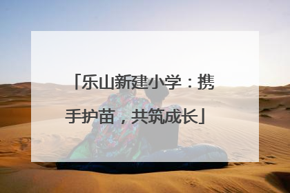 乐山新建小学：携手护苗，共筑成长