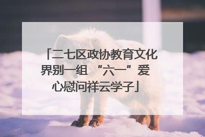 二七区政协教育文化界别一组 “六一”爱心慰问祥云学子