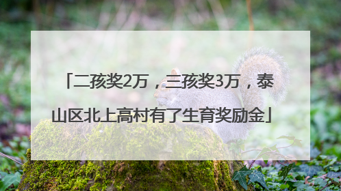 二孩奖2万，三孩奖3万，泰山区北上高村有了生育奖励金