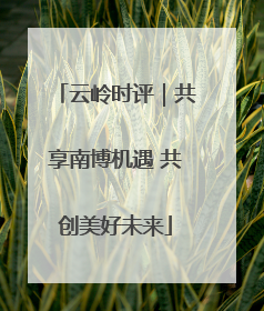 云岭时评｜共享南博机遇 共创美好未来