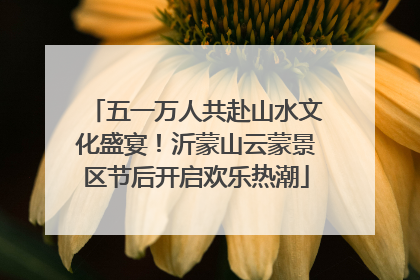 五一万人共赴山水文化盛宴！沂蒙山云蒙景区节后开启欢乐热潮