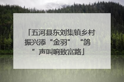 五河县东刘集镇乡村振兴添“金羽” “鸽”声叫响致富路