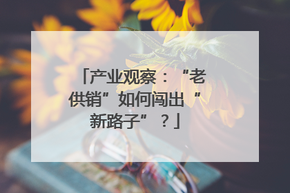 产业观察：“老供销”如何闯出“新路子”？