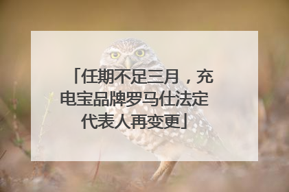 任期不足三月，充电宝品牌罗马仕法定代表人再变更