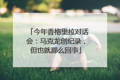 今年香格里拉对话会：马克龙创纪录，但也就那么回事