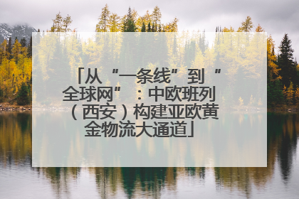 从“一条线”到“全球网”：中欧班列（西安）构建亚欧黄金物流大通道