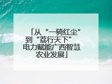 从“一骑红尘”到“荔行天下” 电力赋能广西智慧农业发展