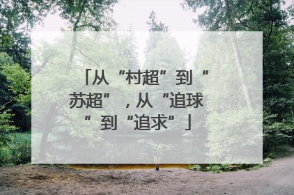 从“村超”到“苏超”，从“追球”到“追求”