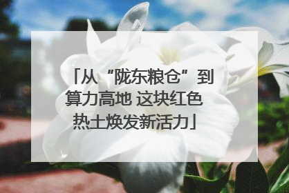 从“陇东粮仓”到算力高地 这块红色热土焕发新活力