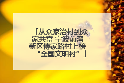 从众家治村到众家共富 宁波前湾新区傅家路村上榜“全国文明村”
