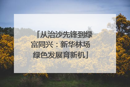 从治沙先锋到绿富同兴：新华林场绿色发展育新机