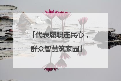 代表履职连民心，群众智慧筑家园