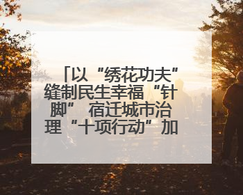 以“绣花功夫”缝制民生幸福“针脚” 宿迁城市治理“十项行动”加速落地