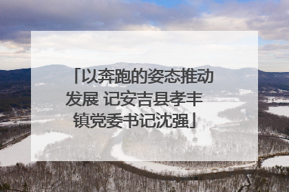 以奔跑的姿态推动发展 记安吉县孝丰镇党委书记沈强
