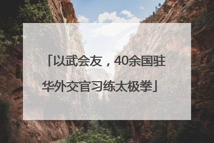 以武会友，40余国驻华外交官习练太极拳