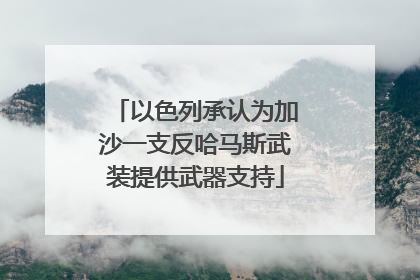 以色列承认为加沙一支反哈马斯武装提供武器支持