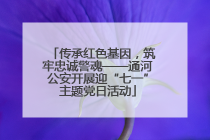 传承红色基因，筑牢忠诚警魂——通河公安开展迎“七一”主题党日活动