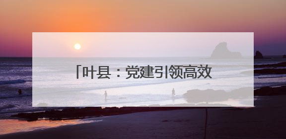 叶县：党建引领高效能 绘就乡村新图景