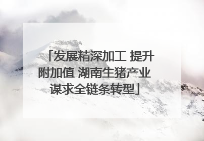 发展精深加工 提升附加值 湖南生猪产业谋求全链条转型