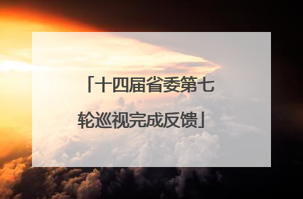 十四届省委第七轮巡视完成反馈