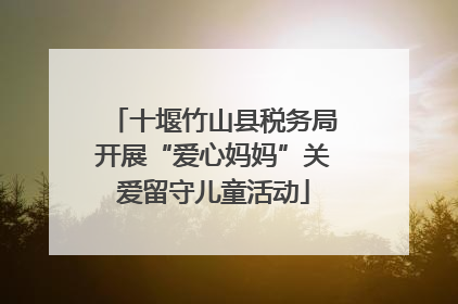 十堰竹山县税务局开展“爱心妈妈”关爱留守儿童活动