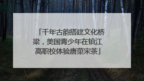 千年古韵搭建文化桥梁，美国青少年在镇江高职校体验唐菓宋茶
