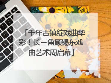 千年古镇绽戏曲华彩！长三角顾锡东戏曲艺术周启幕