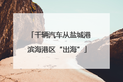 千辆汽车从盐城港滨海港区“出海”