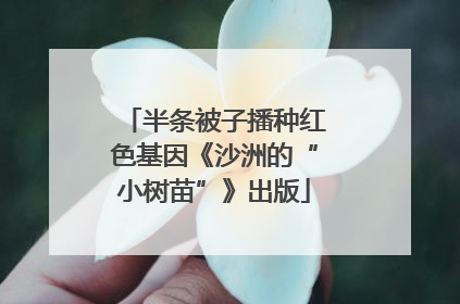 半条被子播种红色基因《沙洲的“小树苗”》出版