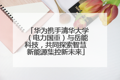 华为携手清华大学（电力国重）与岳能科技，共同探索智慧新能源集控新未来