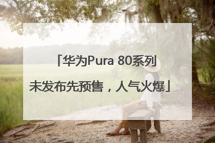 华为Pura 80系列未发布先预售，人气火爆