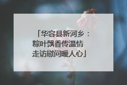 华容县新河乡：粽叶飘香传温情 走访慰问暖人心