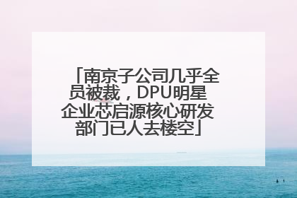 南京子公司几乎全员被裁，DPU明星企业芯启源核心研发部门已人去楼空