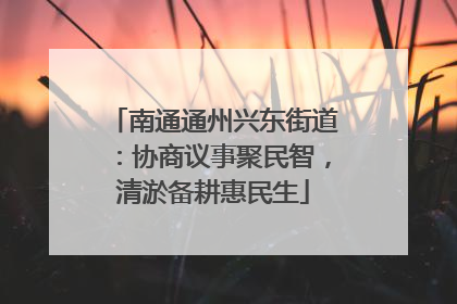 南通通州兴东街道：协商议事聚民智，清淤备耕惠民生