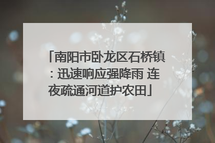 南阳市卧龙区石桥镇：迅速响应强降雨 连夜疏通河道护农田